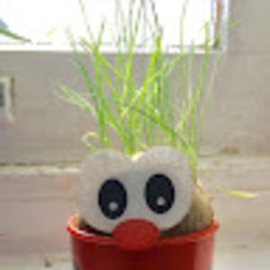 Meet your Posher, Anne